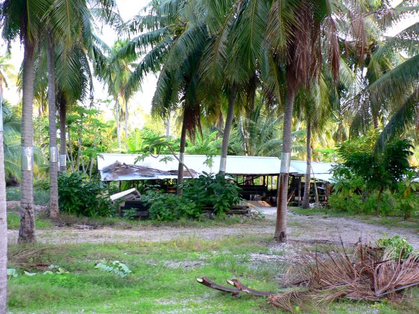 41- Le poulailler d'Assam et Nini 